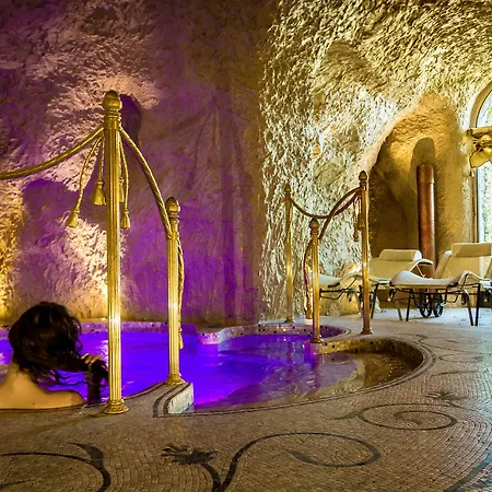 Otel E Palazzo Aminta - A Leading Of The World Stresa